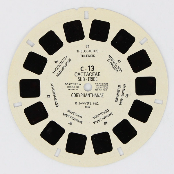 View-Master C-13 Cactaceae Sub Tribe Coryphanthanae Single Reel 1945 Cacti