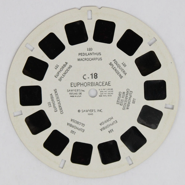 View-Master Euphorbiaceae Reel C-18 Vintage 1945