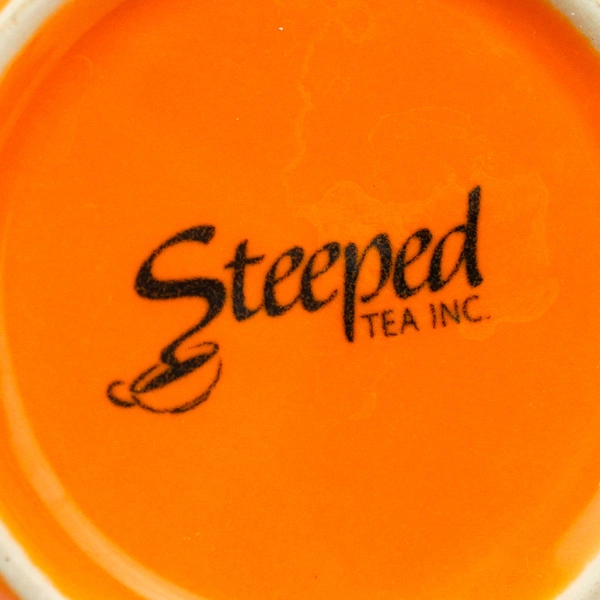 Steeped Tea Inc Orange Ceramic Handled Mug With Tea Infuser & Lid 16 oz 5" Tall