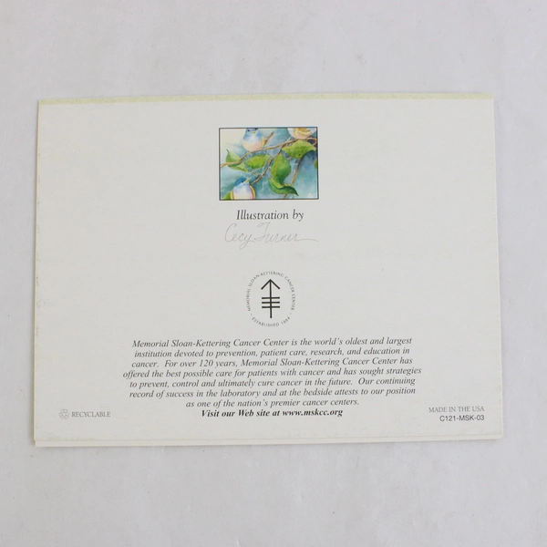 Mixed Lot of 20 Feminine and Children's Birthday Cards With Envelopes