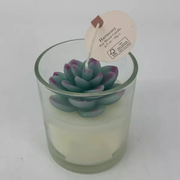 Sincerely Jules Succulent Design Harmony Soy Blend Candle 9.5 Ounce