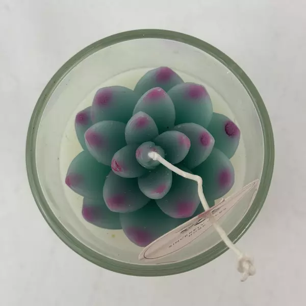 Sincerely Jules Succulent Design Harmony Soy Blend Candle 9.5 Ounce