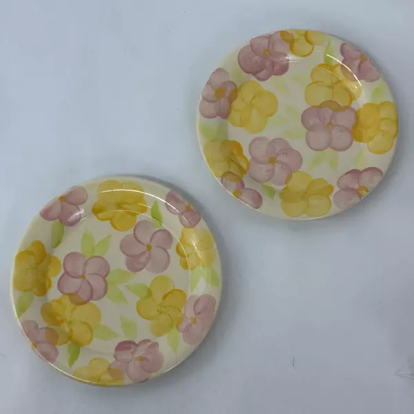 Lot Of 2 Franciscan Garden Party Earthenware Salad Plates 8.75 inch