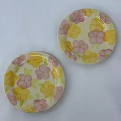 Lot Of 2 Franciscan Garden Party Earthenware Salad Plates 8.75 inch