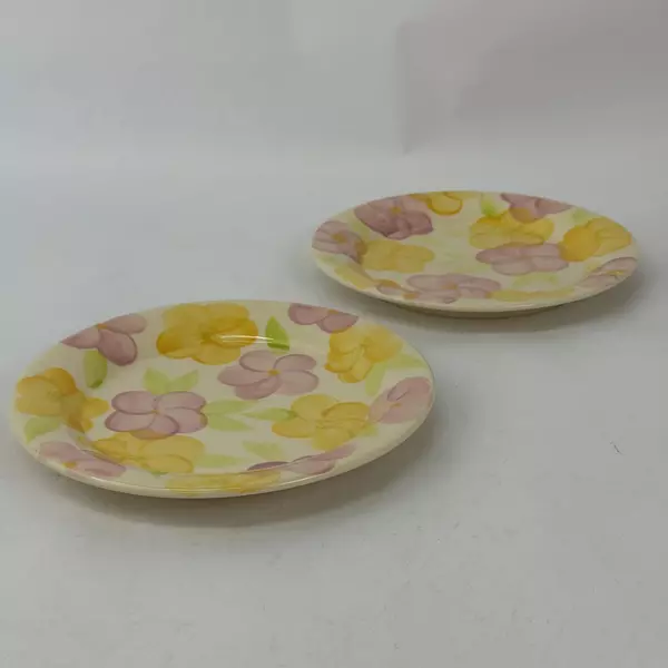 Lot Of 2 Franciscan Garden Party Earthenware Salad Plates 8.75 inch