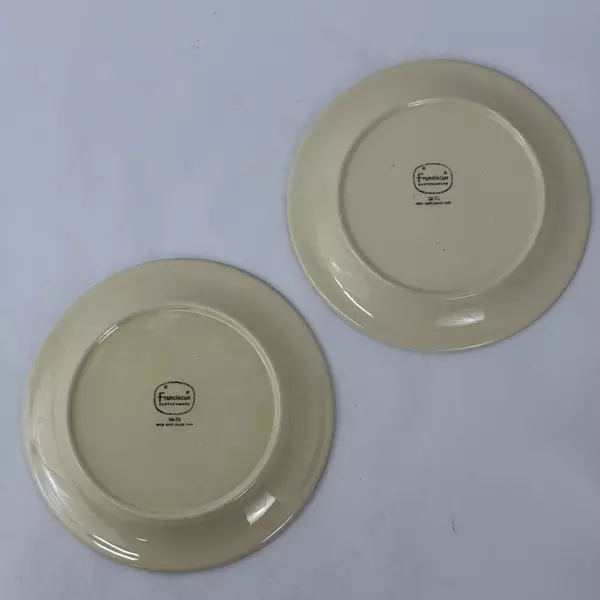 Lot Of 2 Franciscan Garden Party Earthenware Salad Plates 8.75 inch