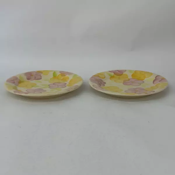 Lot Of 2 Franciscan Garden Party Earthenware Salad Plates 8.75 inch