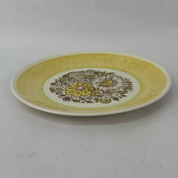 Vintage Taylor Ironstone Nosegay Dinner Plate 10.25 Inch