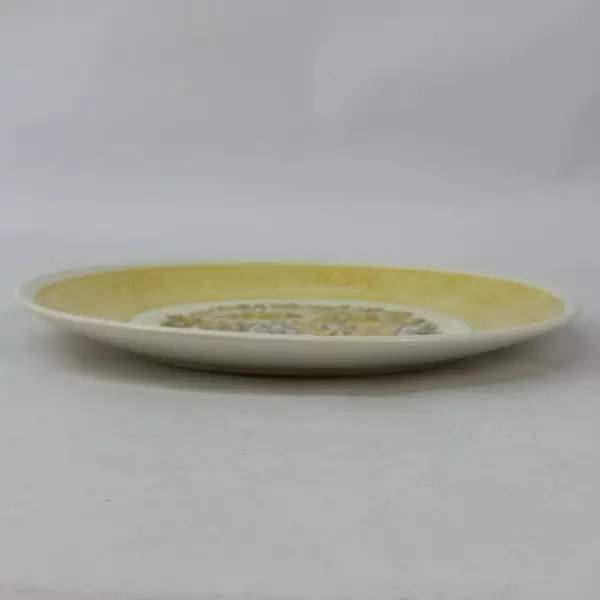 Vintage Taylor Ironstone Nosegay Dinner Plate 10.25 Inch