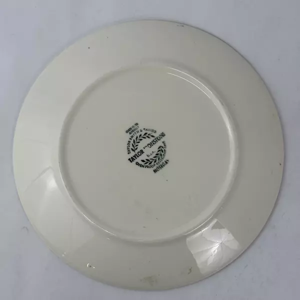 Vintage Taylor Ironstone Nosegay Dinner Plate 10.25 Inch