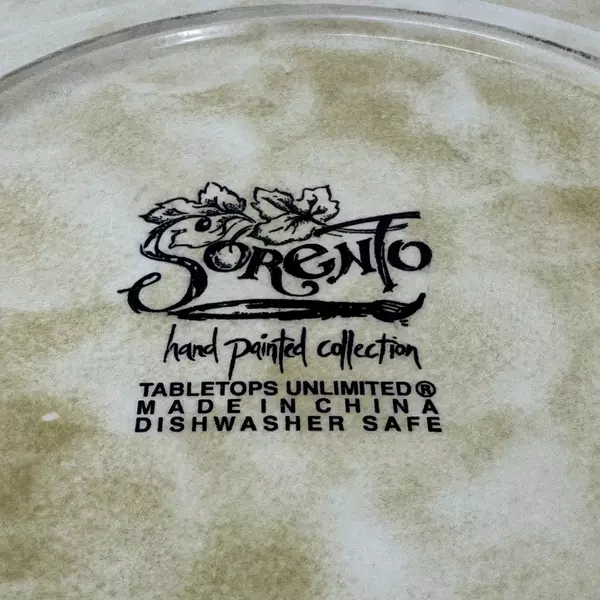 Tabletops Unlimited Sorento Hand Painted 11 Inch Stoneware Dinner Plate