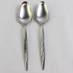 Set of 2 International Silver 1847 Rogers Sea Island Stainless Serving Spoons