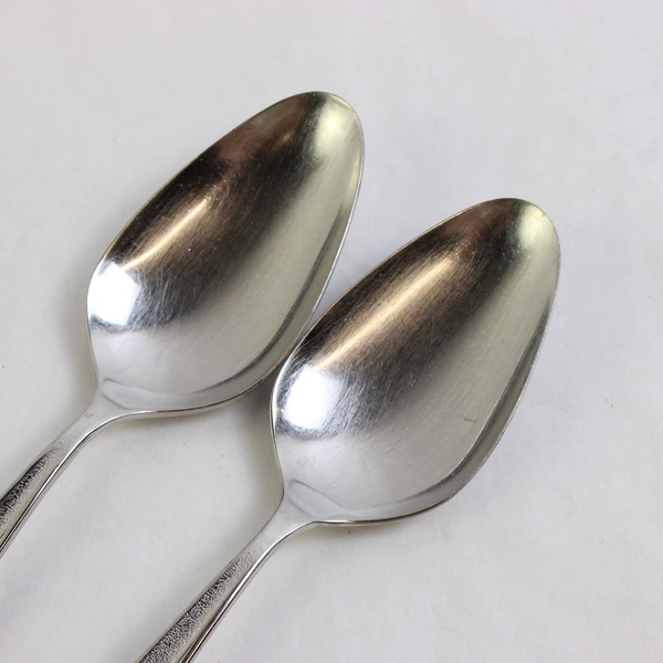 Set of 2 International Silver 1847 Rogers Sea Island Stainless Serving Spoons