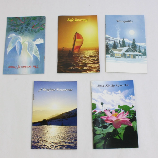 Lot of 14 Christian Religious Booklets Prayers Quotes Affirmations Stories