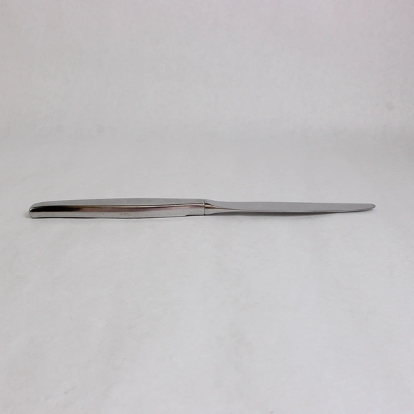 Set of 6 Oneida Community Frostfire Stainless Steel Hollow 9" Dinner Knives