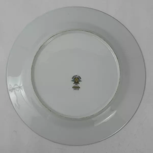 5 Vintage Noritake China Rosepoint Dinner Plates 6206 White Platinum Rim Roses