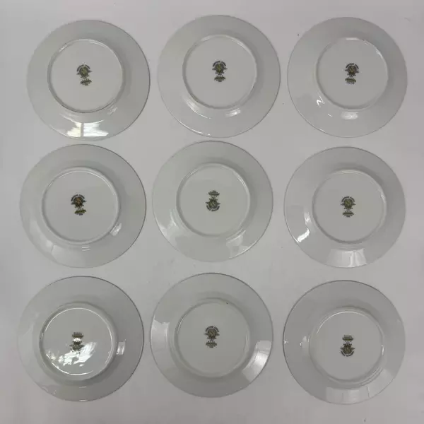 9 Vintage Noritake China Rosepoint Bread Plates 6206 White Platinum Rim Roses