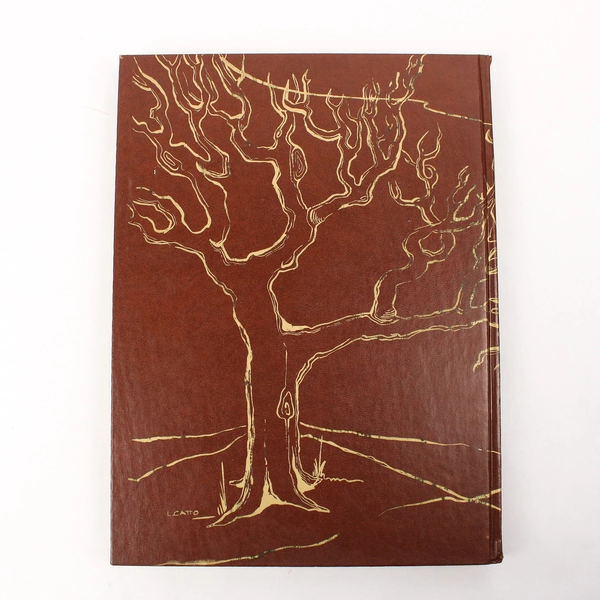 Class of 1972 McMinnville High School McMinnvillian Yearbook Oregon Collectible