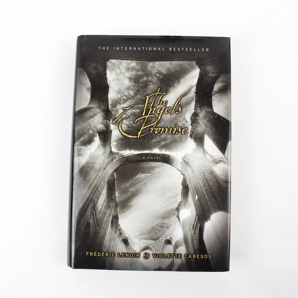 The Angel's Promise by Violette Cabesos & Frédéric Lenoir (2006, Hardcover)