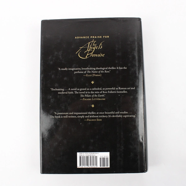 The Angel's Promise by Violette Cabesos & Frédéric Lenoir (2006, Hardcover)