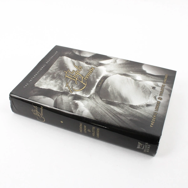 The Angel's Promise by Violette Cabesos & Frédéric Lenoir (2006, Hardcover)