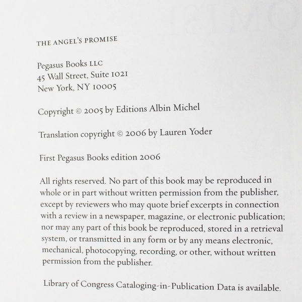 The Angel's Promise by Violette Cabesos & Frédéric Lenoir (2006, Hardcover)