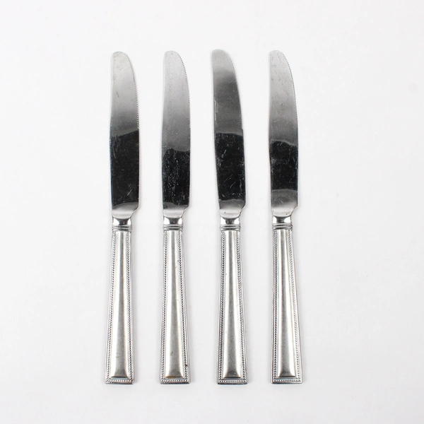 Set of 4 Pfaltzgraff Miranda Sand Stainless Steel Solid Dinner Knives