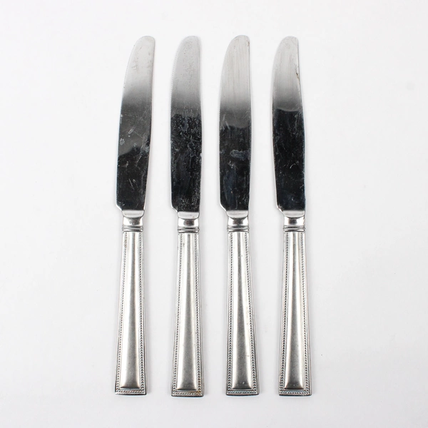 Set of 4 Pfaltzgraff Miranda Sand Stainless Steel Solid Dinner Knives