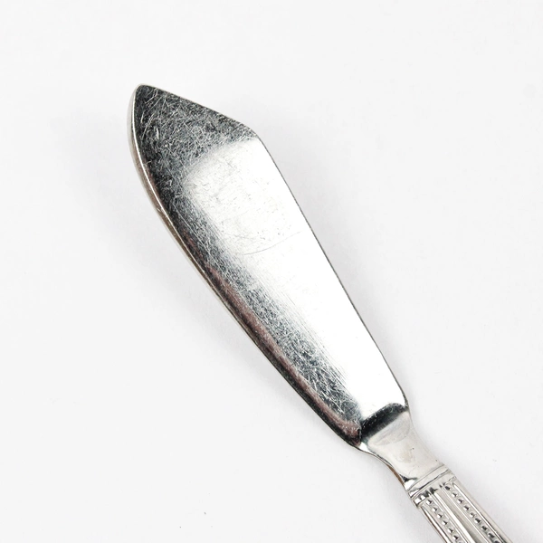 2 Piece Set Pfaltsgraff Miranda Sand Stainless Steel Butter Knives