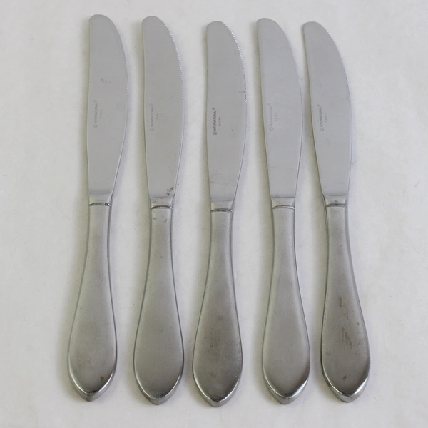 Lot Of 5 International Silver Ridgefield (Stainless) Flatware Solid Knives