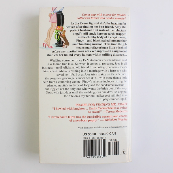 Diamond in the Ruff by Emily Carmichael 2001 Paperback