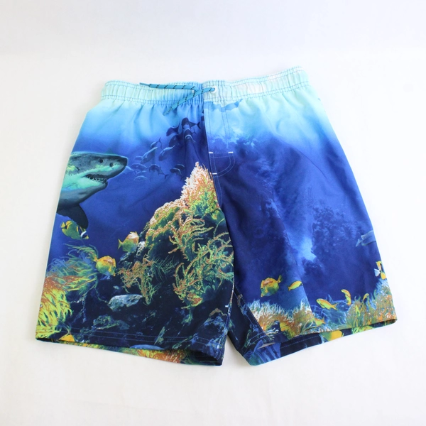Lot of 2 Swim Trunks Boys' Size Large Ocean and Fortnite Themes