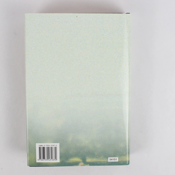 Along Came Mary by Jo-Ann Mapson 2003 Large Print Hardcover