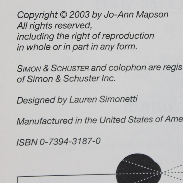 Along Came Mary by Jo-Ann Mapson 2003 Large Print Hardcover