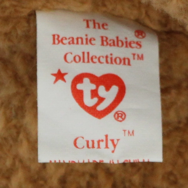 TY Beanie Baby Curly the Bear 8.5" Plush Stuffed Animal