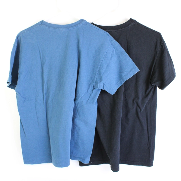 Lot of 2 Hanes Large T-Shirts Black and Blue Cotton Blend Tee Shirts