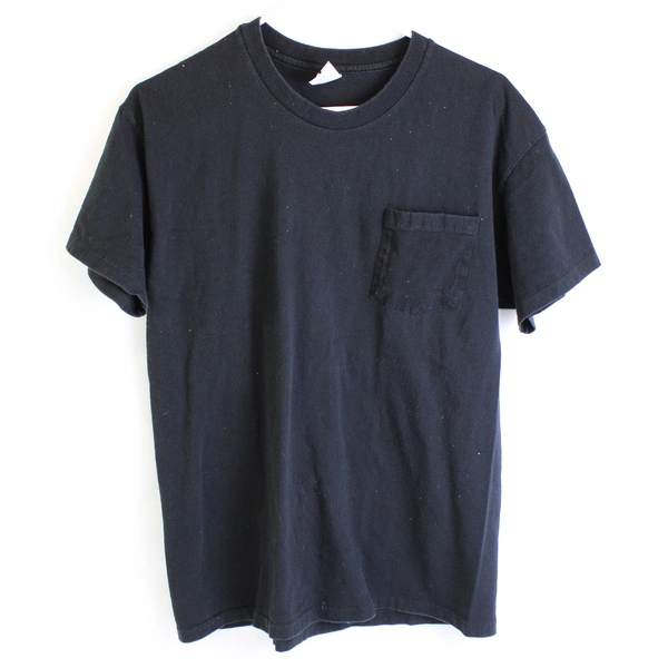 Lot of 2 Hanes Large T-Shirts Black and Blue Cotton Blend Tee Shirts