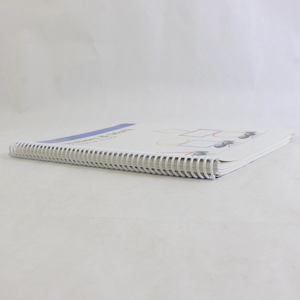 Numbers & Math Pre-K Teacher's Guide 2011 Spiral Bound Paperback