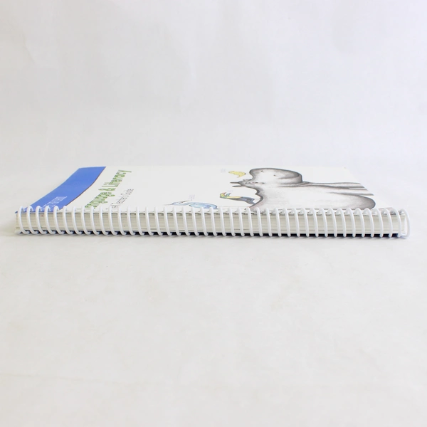 Language & Literacy Pre-K Teacher's Guide 2011 Spiral Bound Paperback