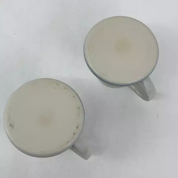 Lot of 2 Ceramic Travel Coffee or Tea Mugs With Wide Bases And Irises