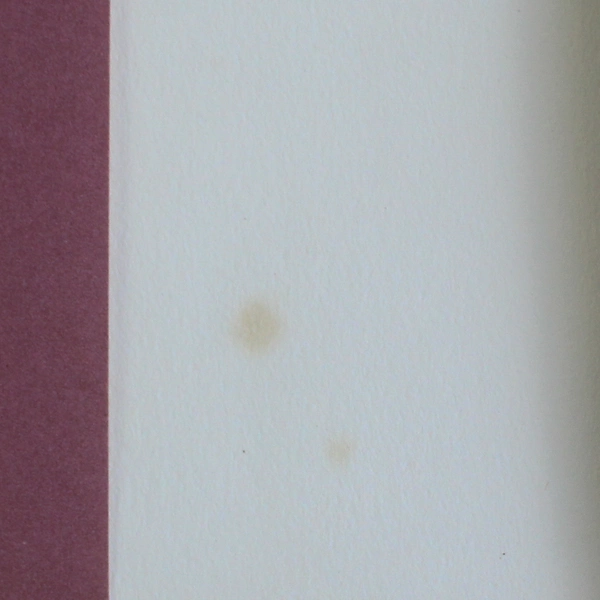 Vintage 1980s Avon French Aster Writing Folio Stationary Set