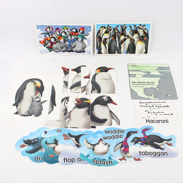 Set of 36 Laminated Penguin Marine Biology Study Cards