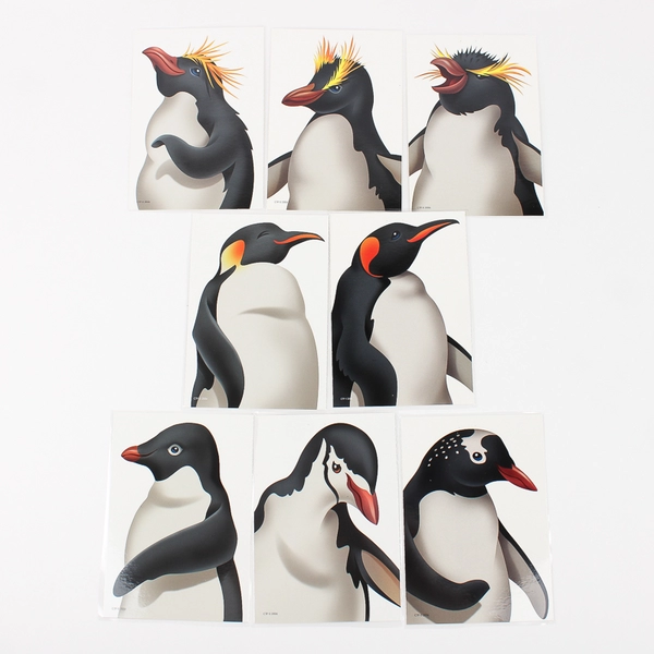 Set of 36 Laminated Penguin Marine Biology Study Cards