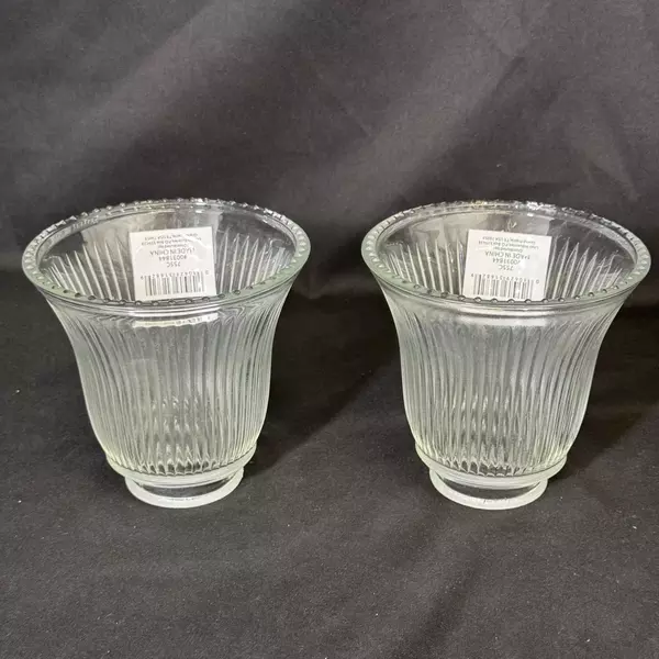 2 Litex industries Clear Glass Ribbed Ceiling Fan Light Fixture Globes