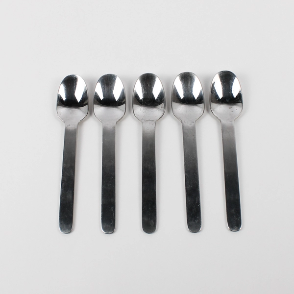 5 Piece Set West Elm Brushed Round Flatware Silverware Spoon Set