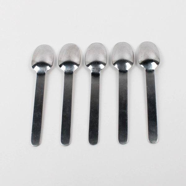 5 Piece Set West Elm Brushed Round Flatware Silverware Spoon Set