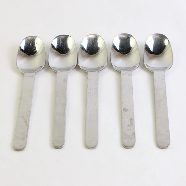 5 Piece Set West Elm Flatware Silverware Spoon Set