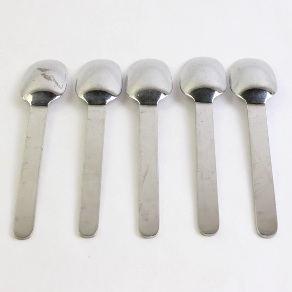 5 Piece Set West Elm Flatware Silverware Spoon Set