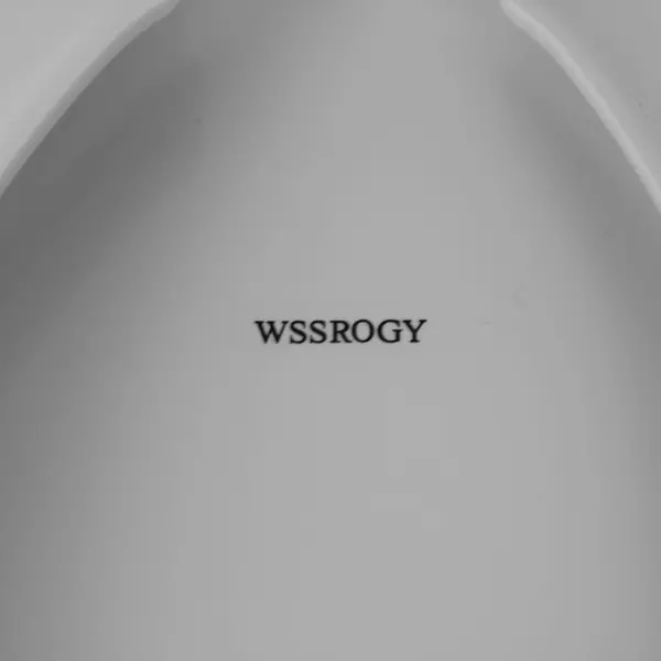 WSSROGY LMA0918 White Toilet Seat Durable Easy Clean New Open Box