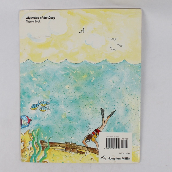 Sunken Treasure by Gail Gibbons 1993 Paperback The Art of Treasure Hunting